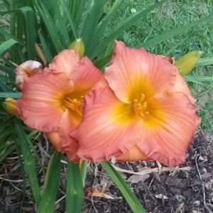 Meet your Posher, April